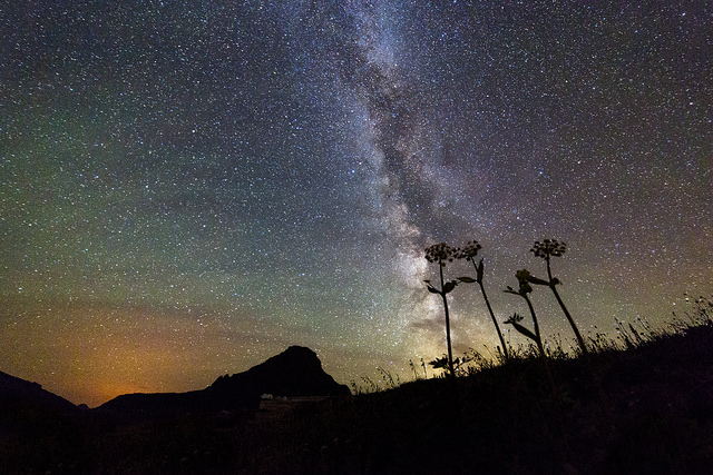 Milky Way at Logan Pass
