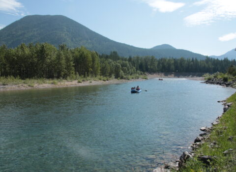 Whitewater Rafting, Glacier National Park - Glacier Guides & Montana Raft