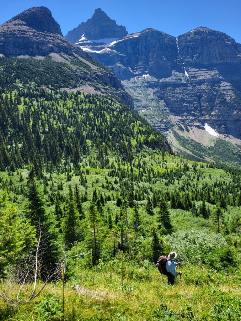 What's The Difference Between Yellowstone & Glacier