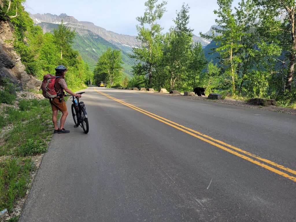 Guide Makete Roesch on a bike trip with guests, educating them on how to give a black bear plenty of space when seeing them on a trail. 10 reasons to explore glacier with a guide