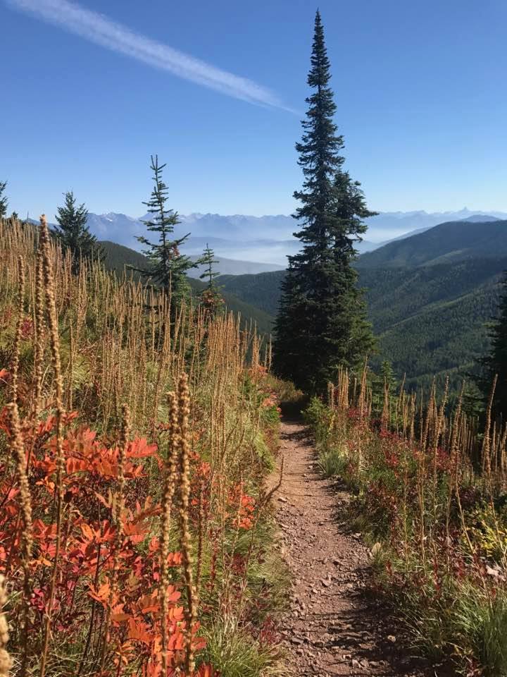 Huckleberry Lookout Trail in October in Glacier National Park