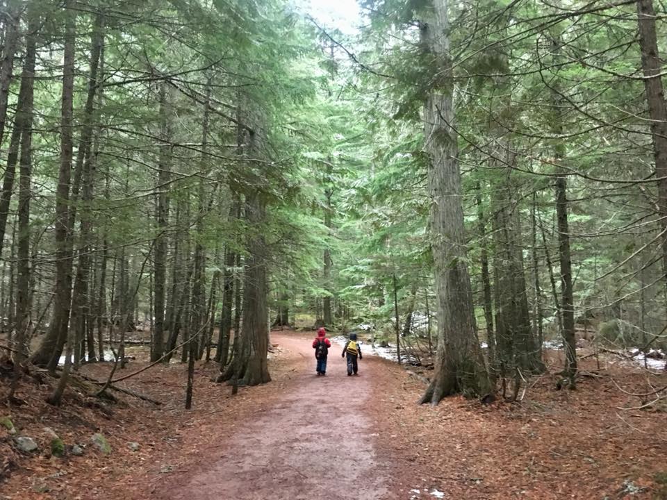 hiking to Avalanche Lake in December