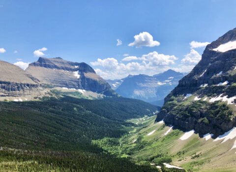 Every Thursday Hike – Piegan Pass Glacier National Park