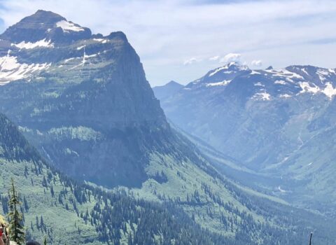 Every Tuesday Hike - Highline Trail Glacier National Park