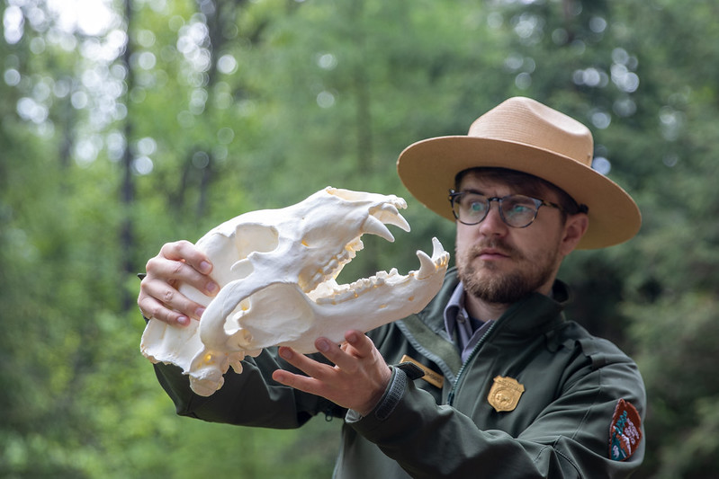 A Glacier National Park Ranger holds a grizzle bear skull, often used for education lectures. Photo courtesy Glacier National Park