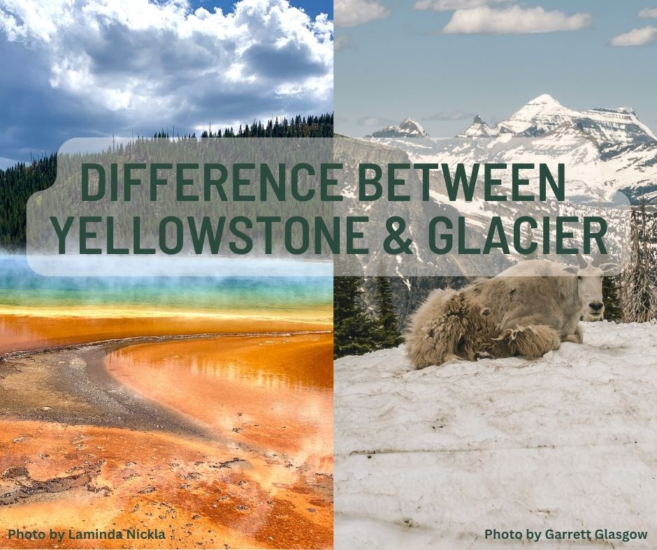 What's The Difference Between Yellowstone & Glacier