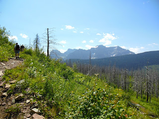 After the 2003 fires, the loop trail gained some gorgeous views. Photo by guide Corrie Holloway