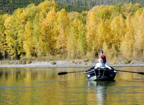 Fly Fishing Glacier National Park