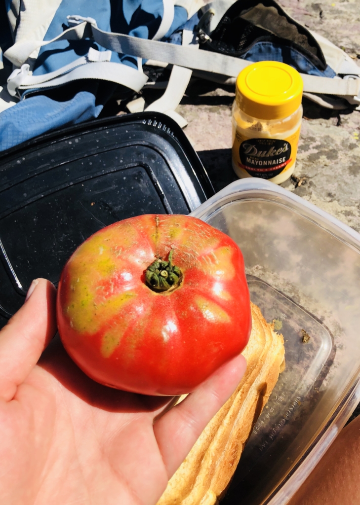 Sperry Chalet rebuild eat lunch duke's mayonnaise heirloom tomatoes