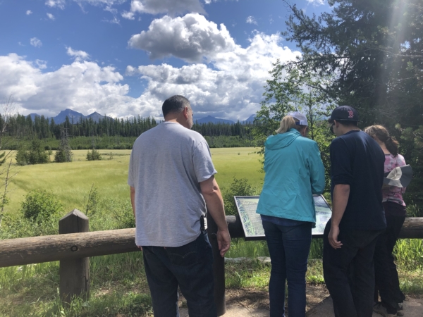 Nature Walk in Glacier National Park