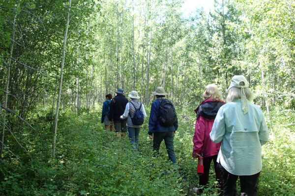 glacier national park hiking tours