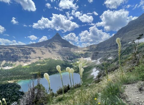 Guided Hiking Trips - Glacier National Park (U.S. National Park