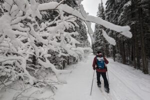 Skiing into Bowman Lake - Glacier Guides & Montana Raft
