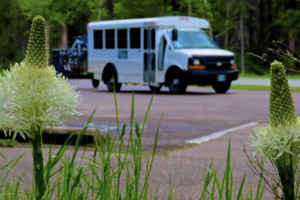 national park cycle rent