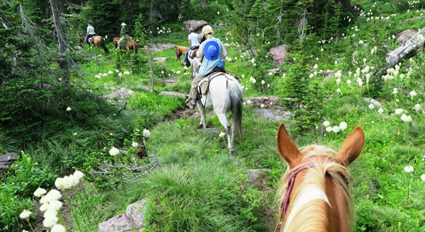 Horseback Rides in Glacier Park are an option for 3 Perfect Days in West Glacier