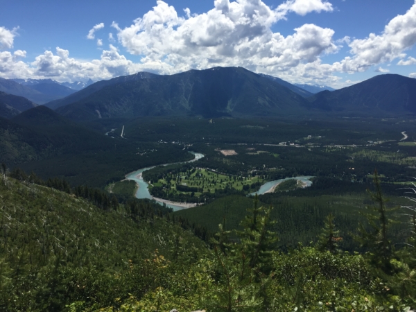 Middle Fork of the Flathead River from Apgar Lookout trail. Glacier National Park.