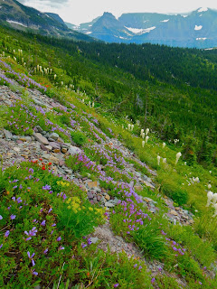 Garden Wall Glacier National Park Photo by Corrie Holloway