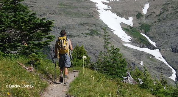 Guided Day Hikes In Glacier National Park Vlr Eng Br